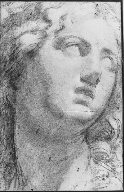 Niobe von Annibale Carracci